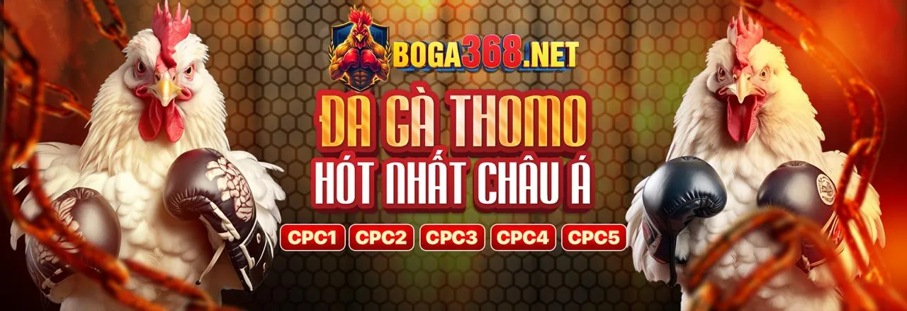 Sân đấu đá gà trực tuyến kịch tính tại tobet88 nổ hũ